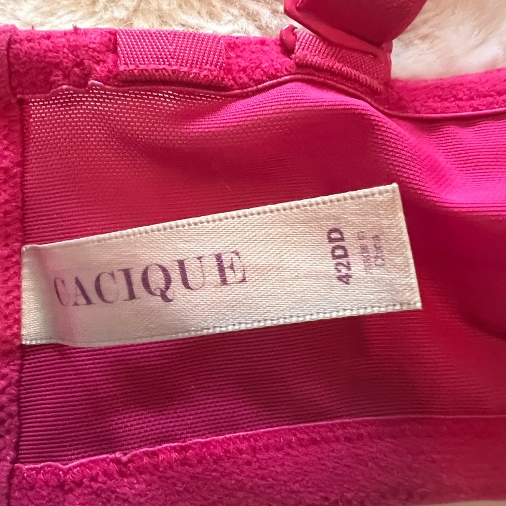 Cacique Fuchsia Women's Bra